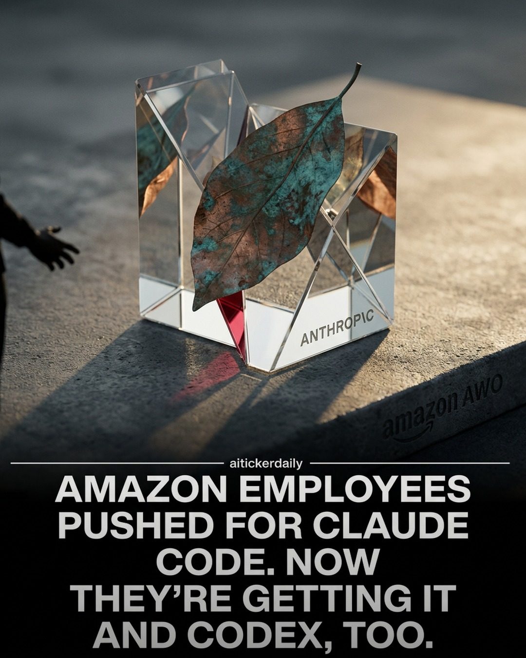 Amazon Expands AI Coding Tools for Employees with Claude Code and Codex