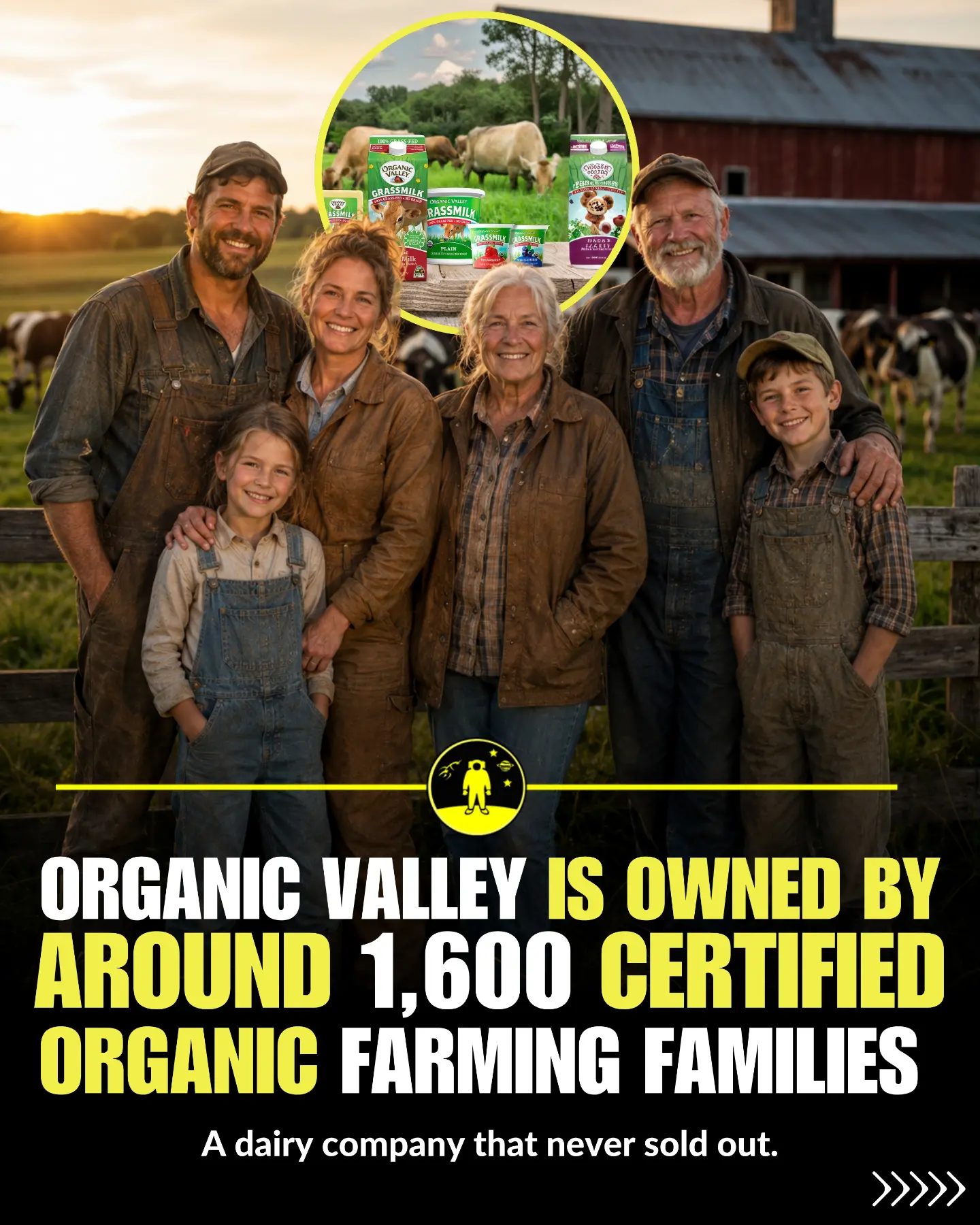 Why Organic Valley is a Top Choice for Organic Dairy