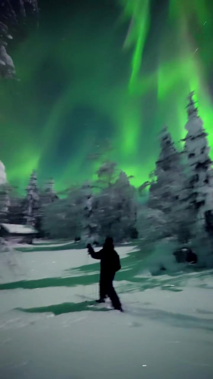 Aurora Borealis Over Snowy Ranua, Finland