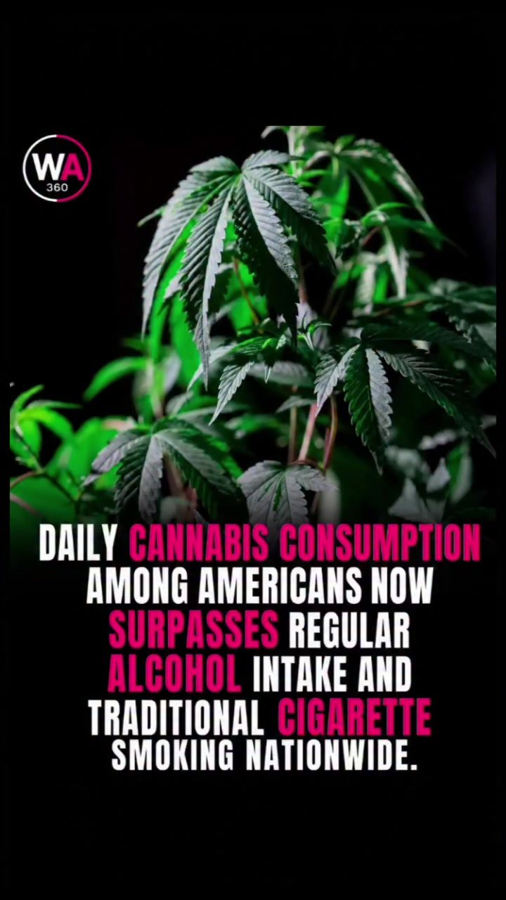 Cannabis Surpasses Alcohol and Cigarettes in Daily U.S. Use