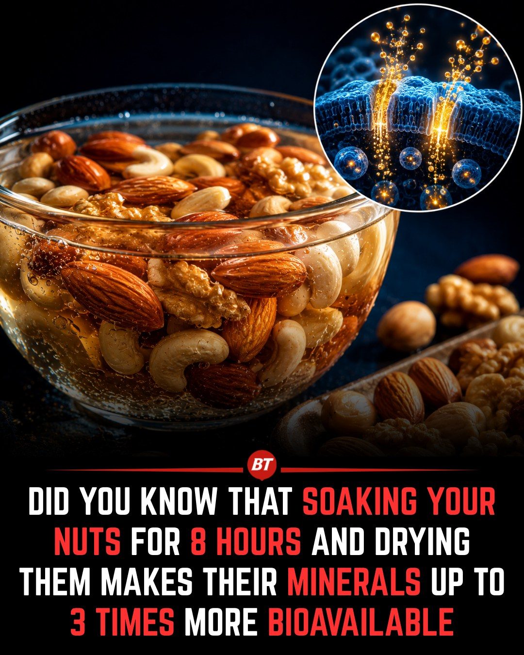 Boost Nut Mineral Absorption: Soak Nuts for Better Health