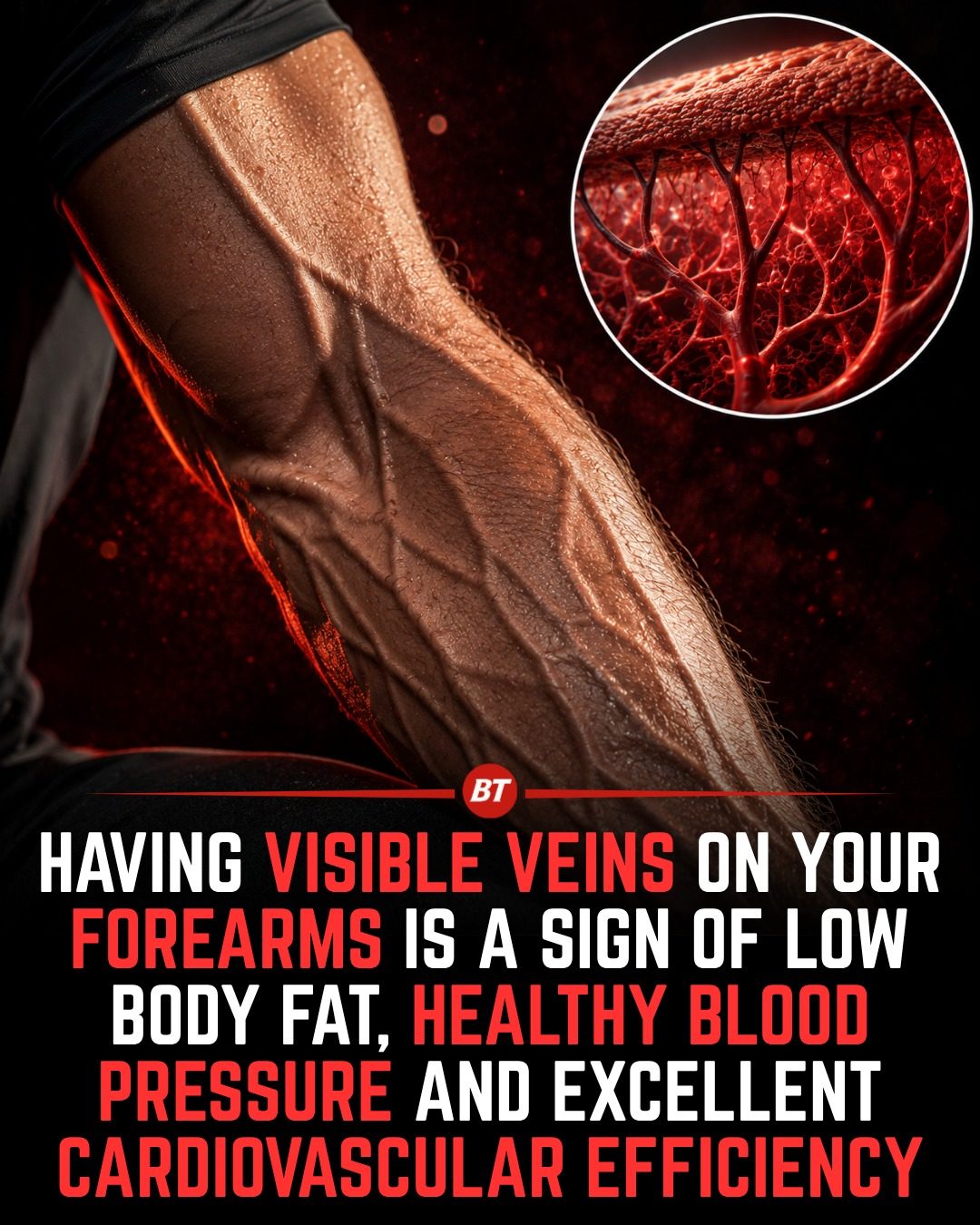 Visible Veins: Signs of Fitness and Good Health