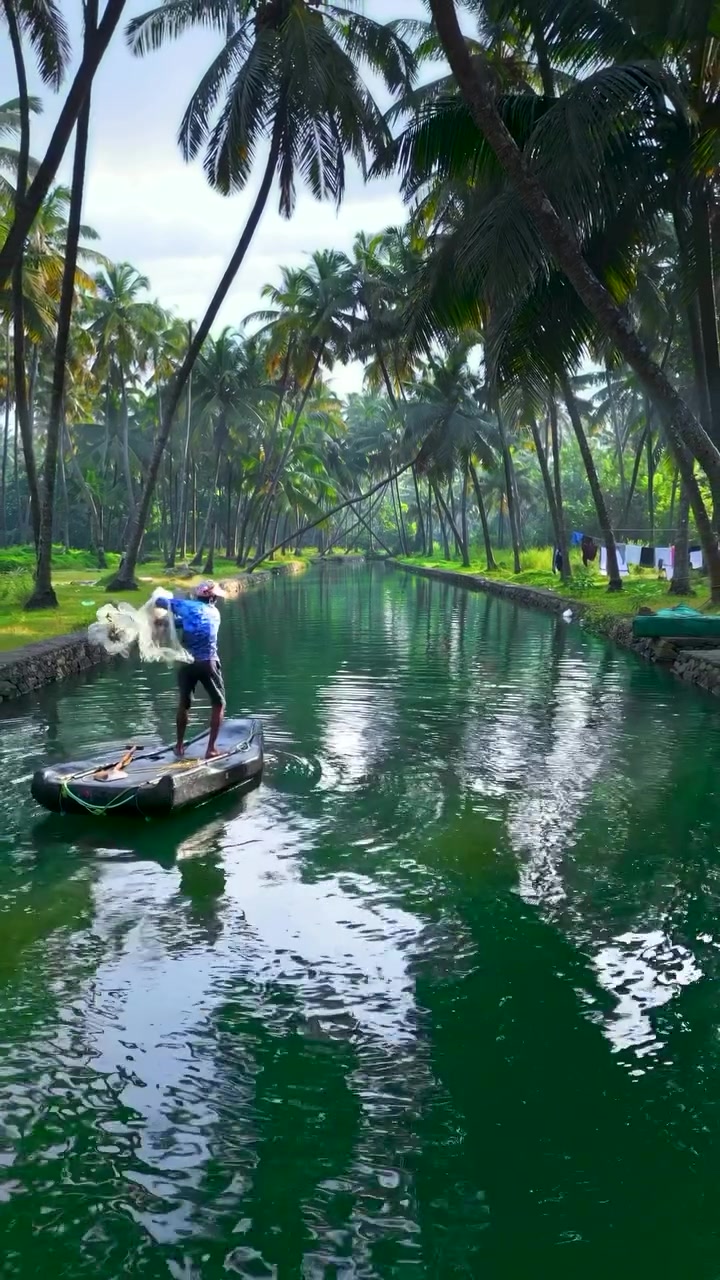Traditional Fishing in Kerala's Serene Backwaters