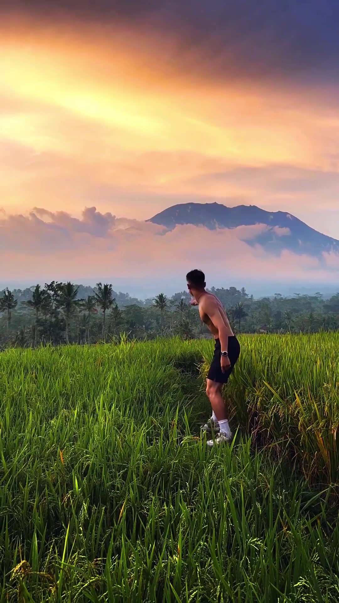 Sunset Walk Through Lush Field With Mountain View
