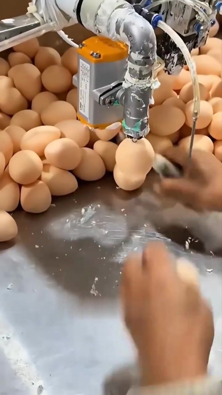 The Truth Behind Fake Eggs
