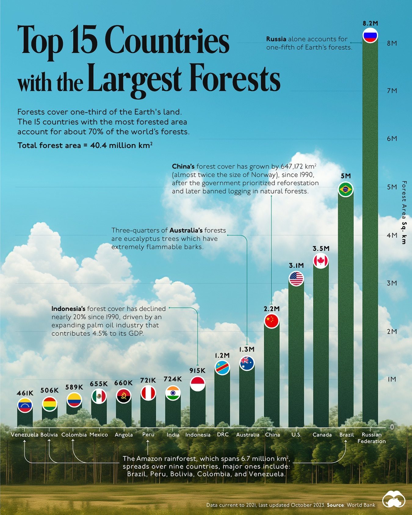 Countries with the Most Forests: Russia Leads the Way