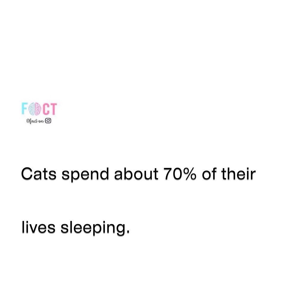Cats Sleep 70% of Their Lives: Why and What It Means