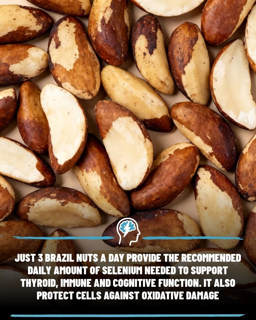 Brazil Nuts: Boost Selenium with Just 3 Nuts Daily