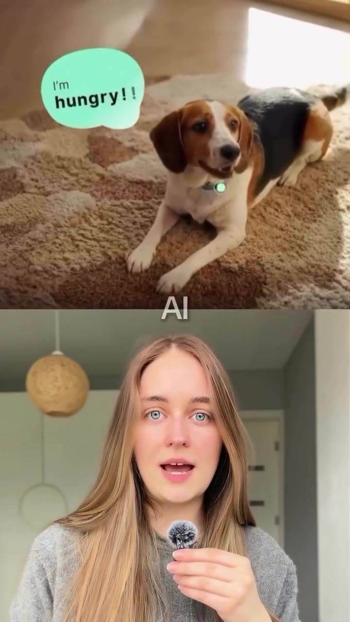 PettiChat AI Collar: Translating Pet Sounds into English