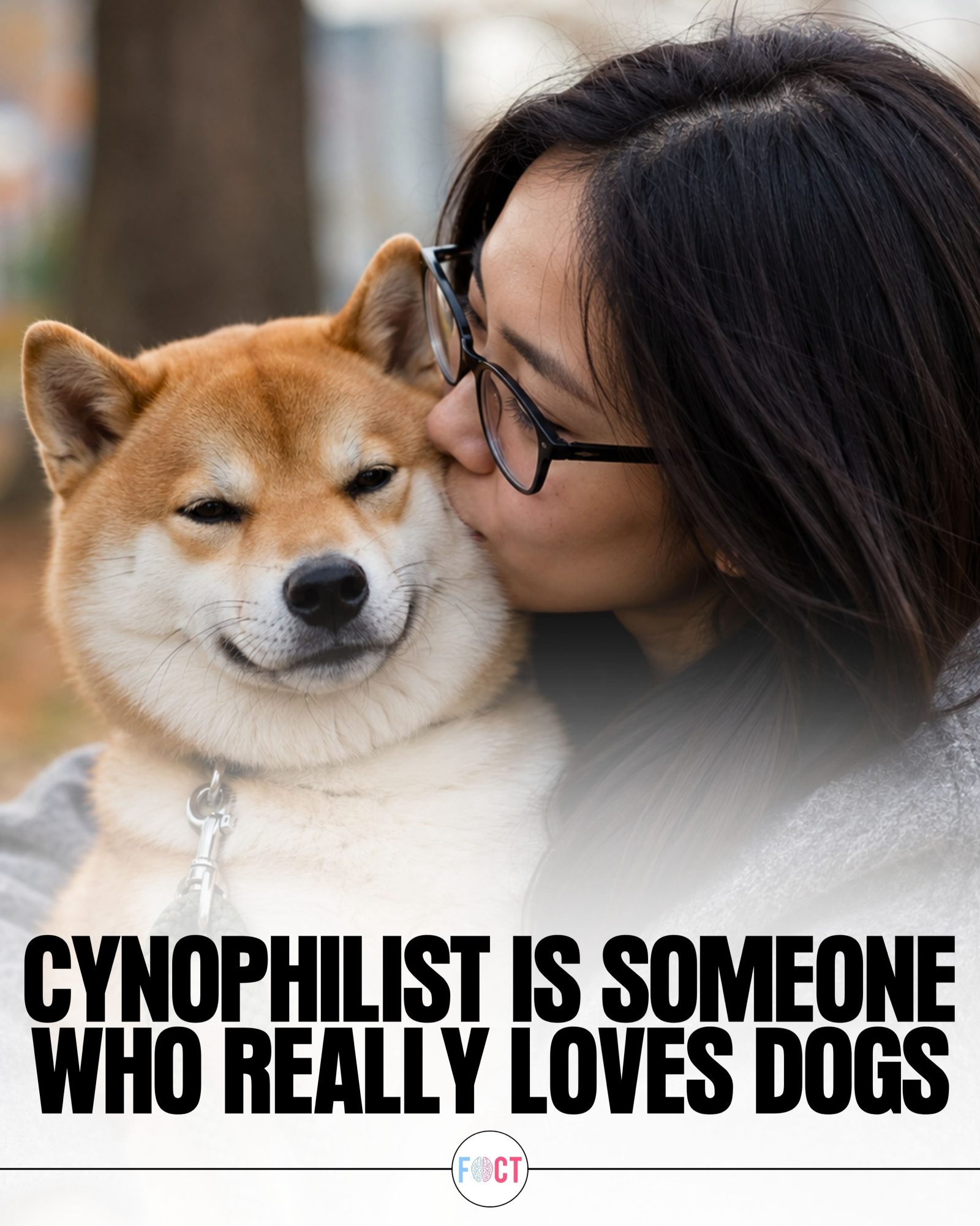 Are You a Cynophilist? Understanding the Deep Love for Dogs