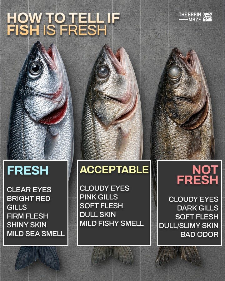 How to Tell if Fish is Fresh: Key Signs