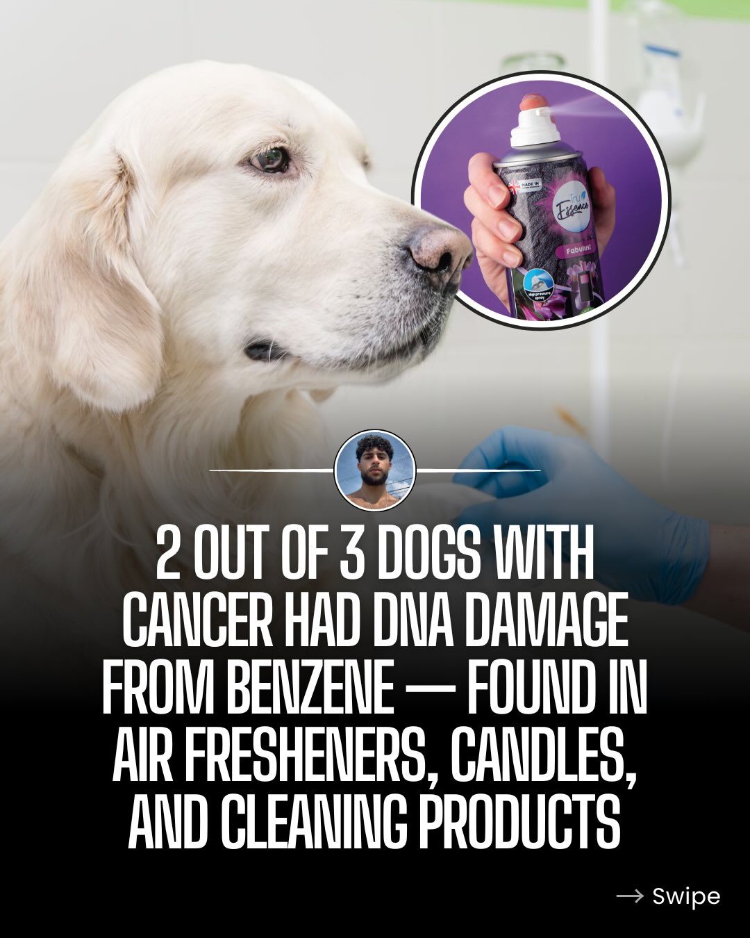 How Benzene in Household Items Poses a Risk to Dog Health
