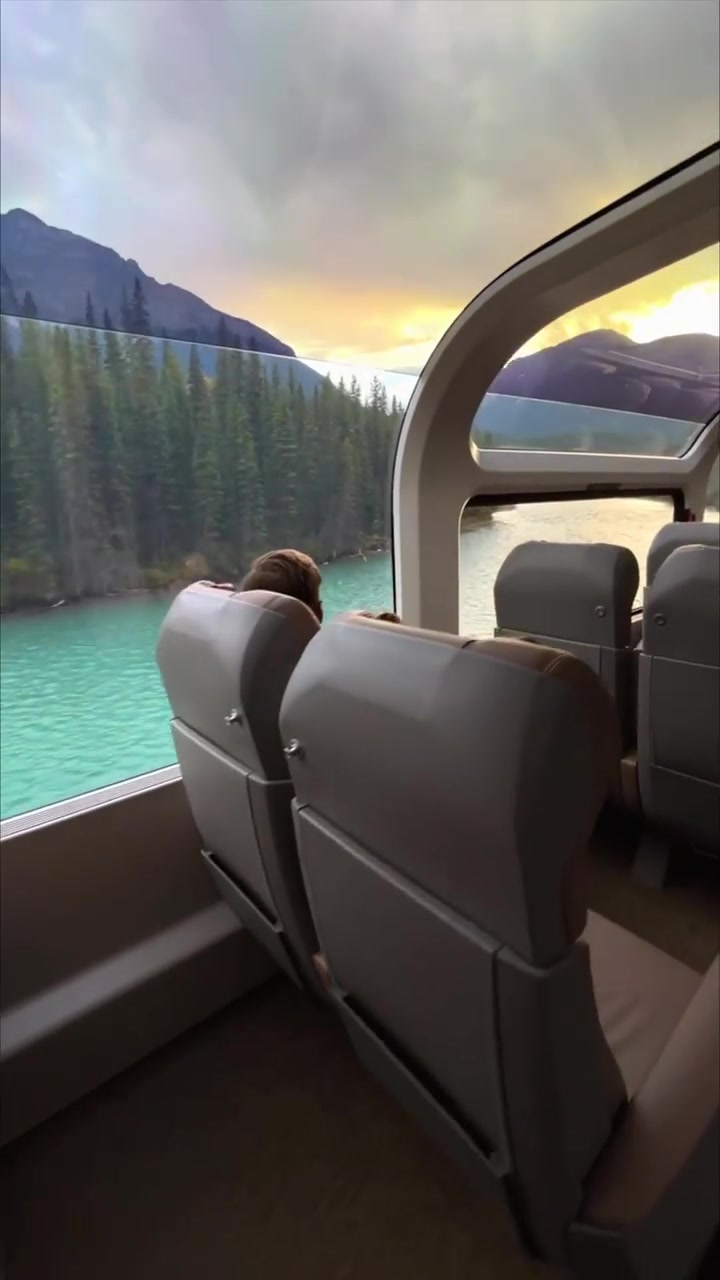 Scenic Train Ride Through Lush Forests