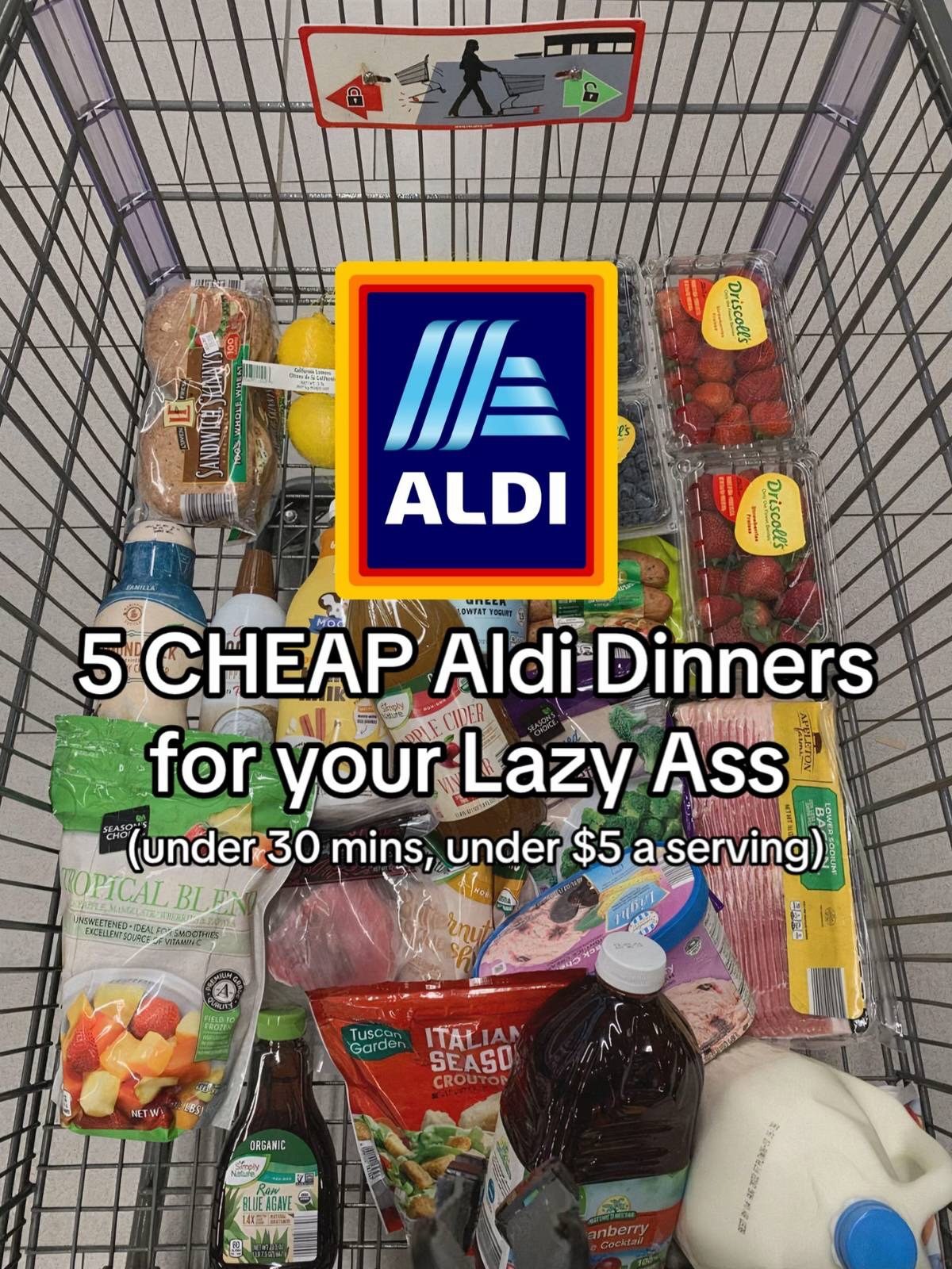 5 Easy & Cheap Aldi Dinners Under $5