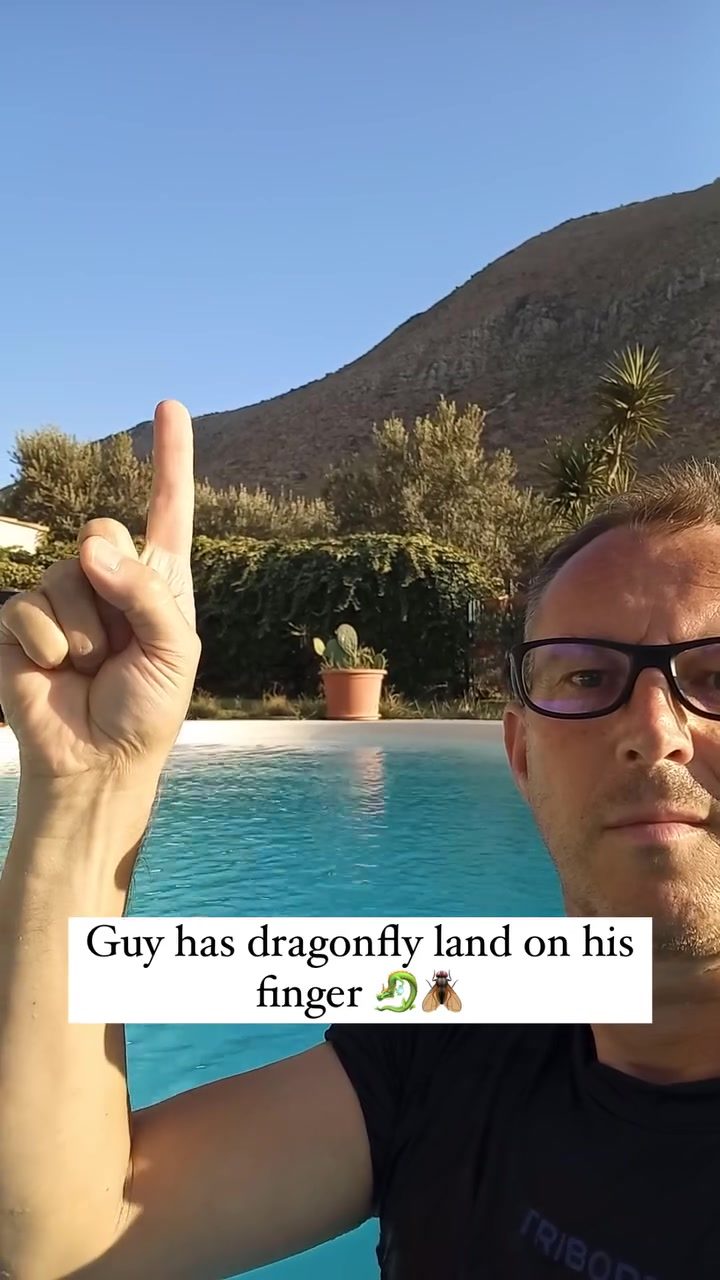 Dragonfly Lands on Man's Finger