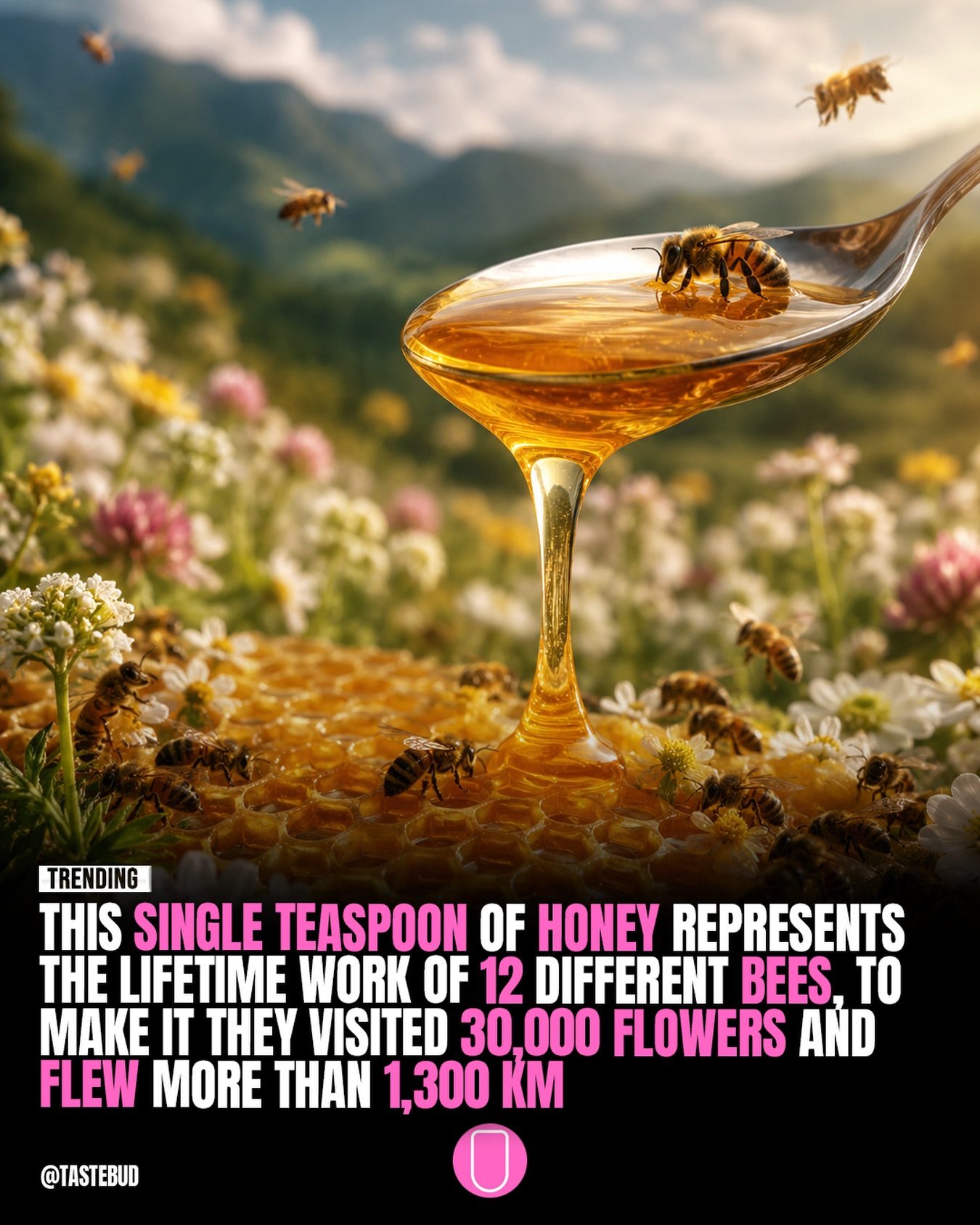 The Amazing Effort Behind Every Teaspoon of Honey
