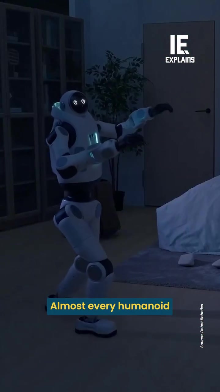 Dobut Lumo: All-Terrain Humanoid Robot Demo