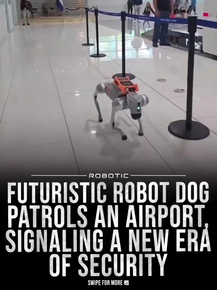Future of Security: Robotic Dogs Patrol Airports