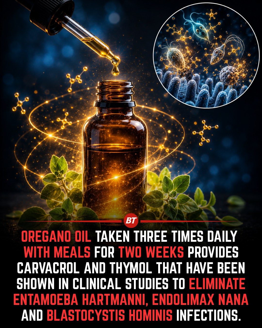 Oregano Oil: Natural Defense Against Intestinal Protozoa