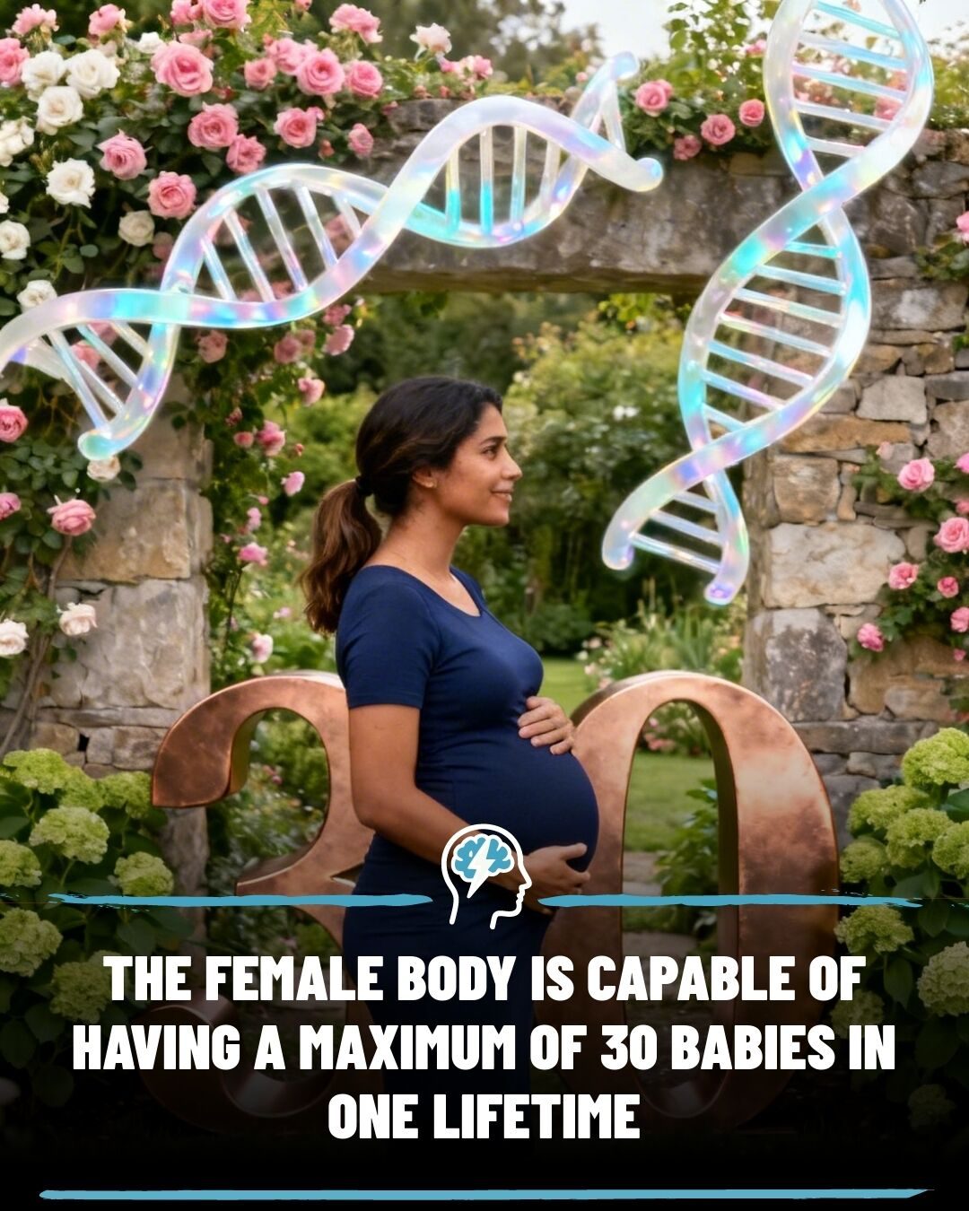 The Maximum Number of Pregnancies: Unveiling the Truth About Female Fertility