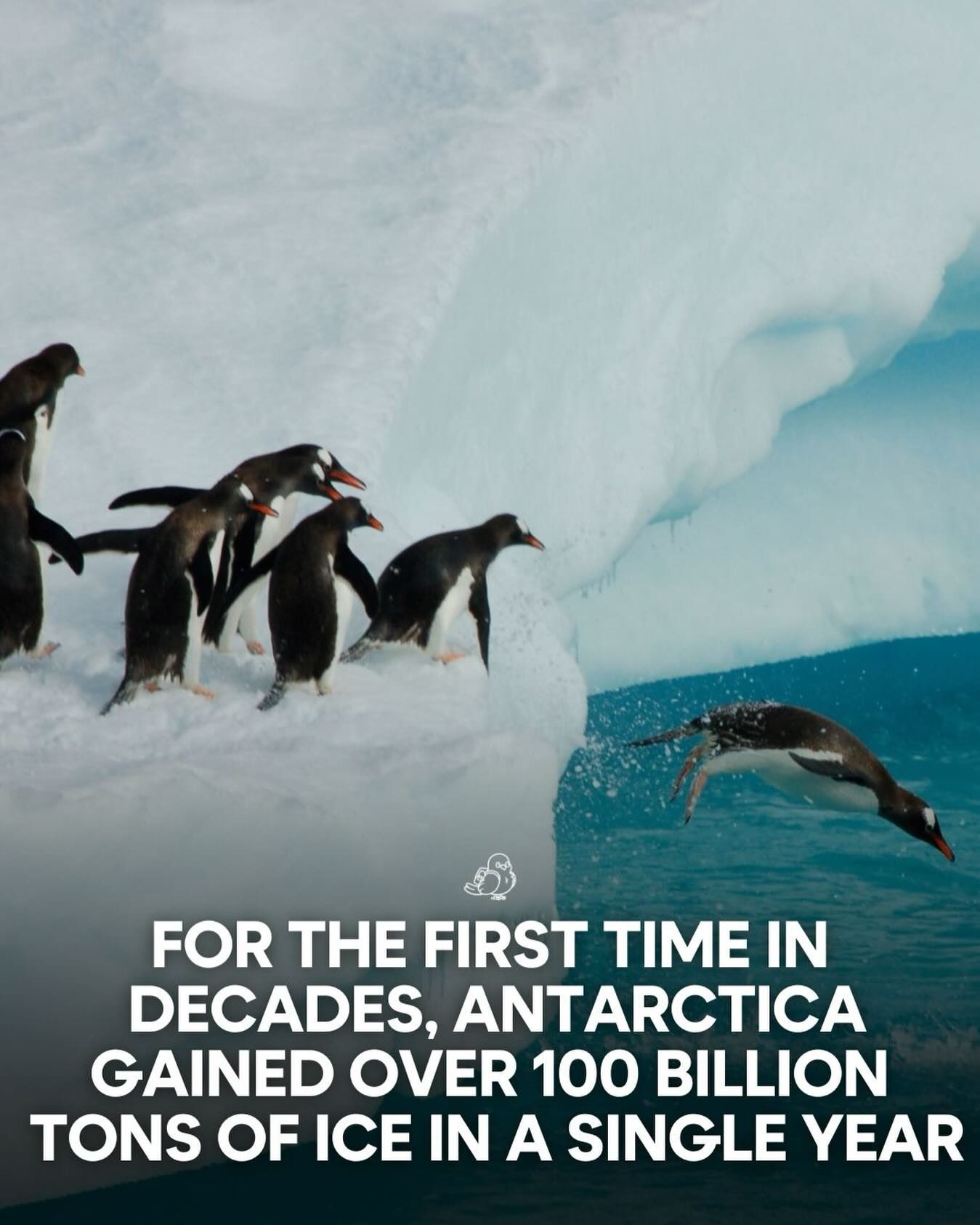 Antarctica's Unexpected Ice Gain: A Look at the Recent Surge