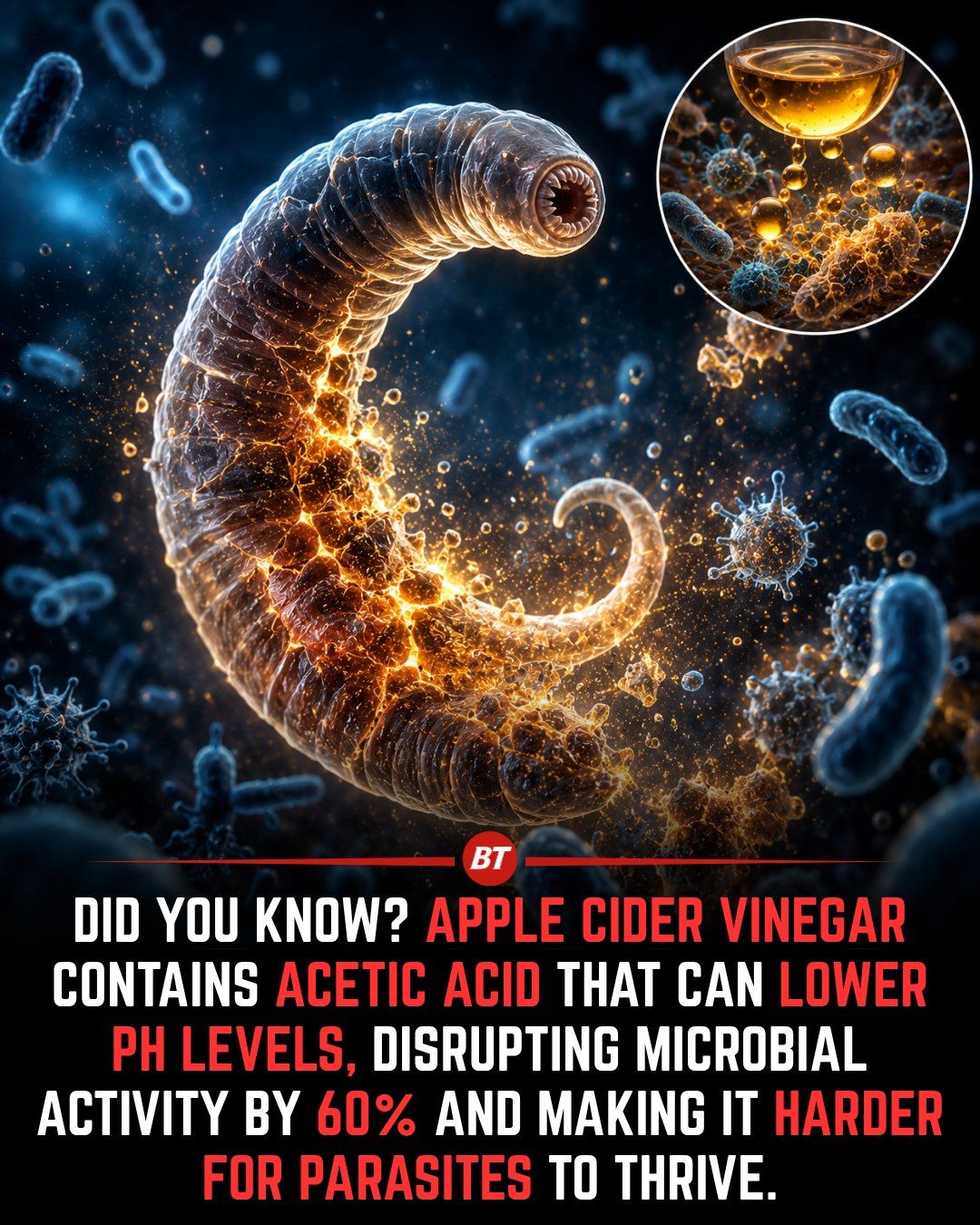 Apple Cider Vinegar's Acetic Acid and Microbial Activity