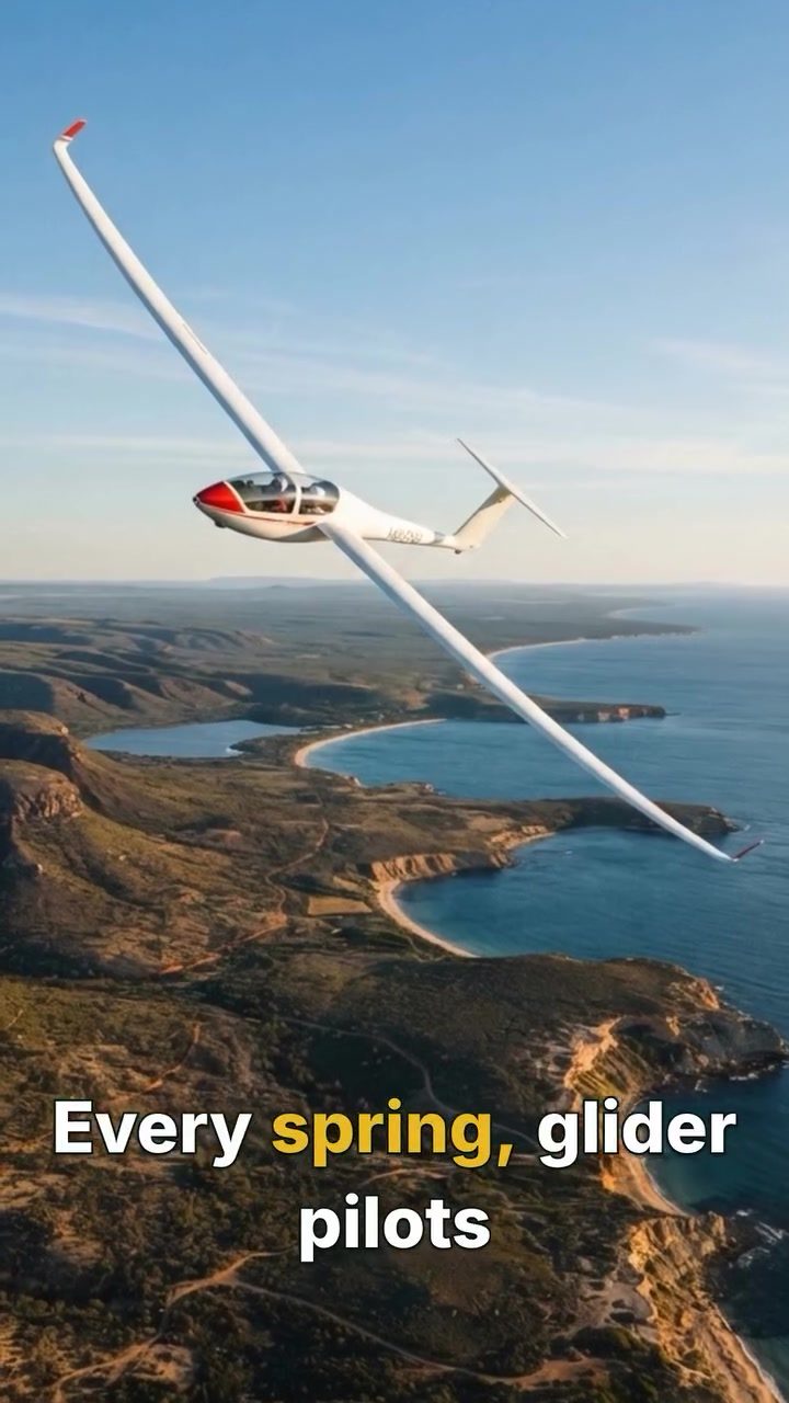 Glider Pilots Chase Morning Glory Clouds