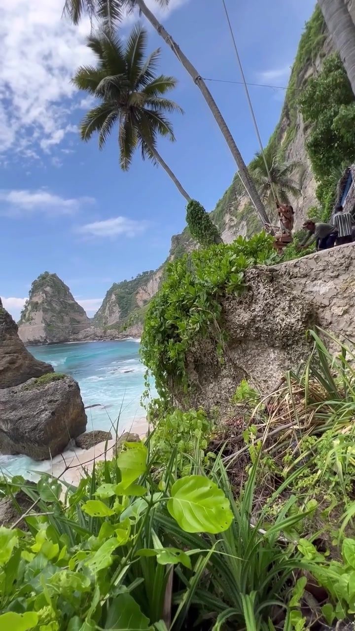 Swinging Above Paradise: Beach Bliss on a Tropical Swing