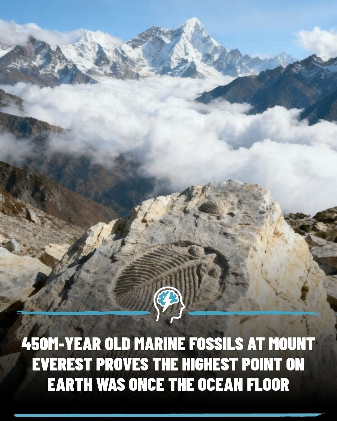 Mount Everest's Ancient Ocean Floor Secrets