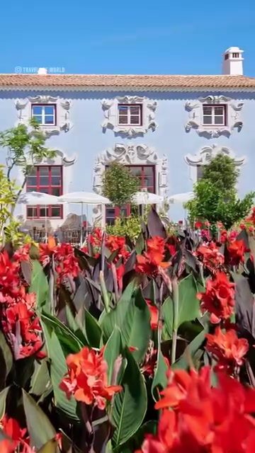 Nostalgia in Portugal: Architecture and Red Flowers