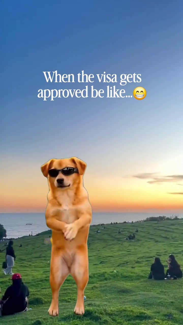 Dog's Epic Celebration: Dancing to Visa Approval