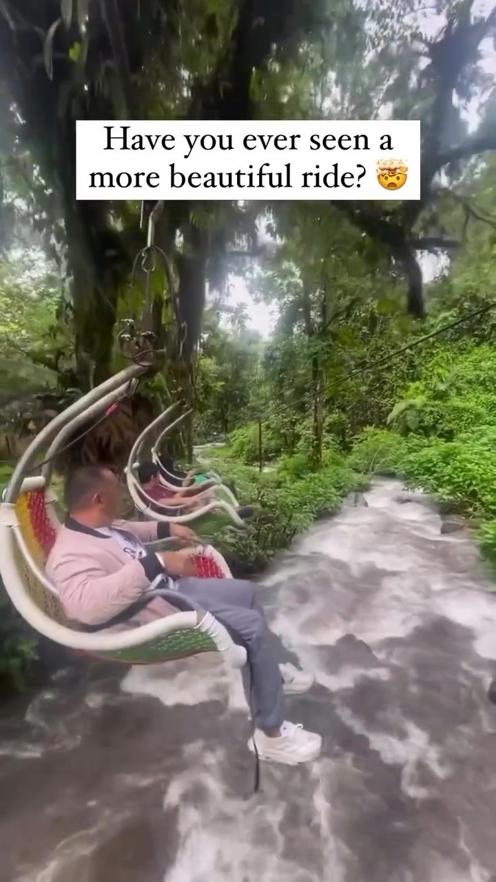 Experience Tranquility on a Scenic Swing Ride