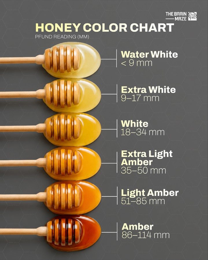 Understanding Honey's Color: Pfund Scale Guide