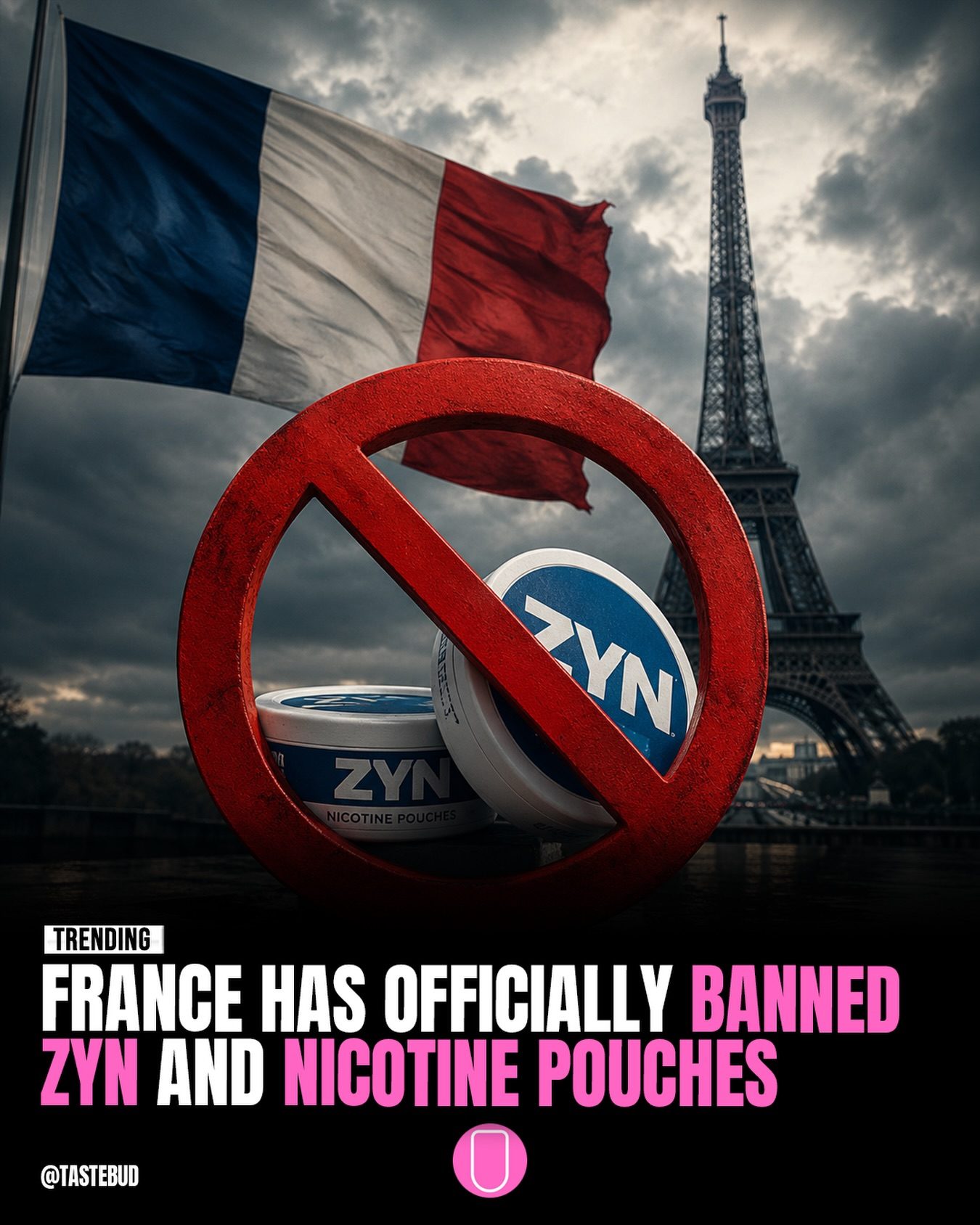France's Ban on ZYN and Nicotine Pouches Explained