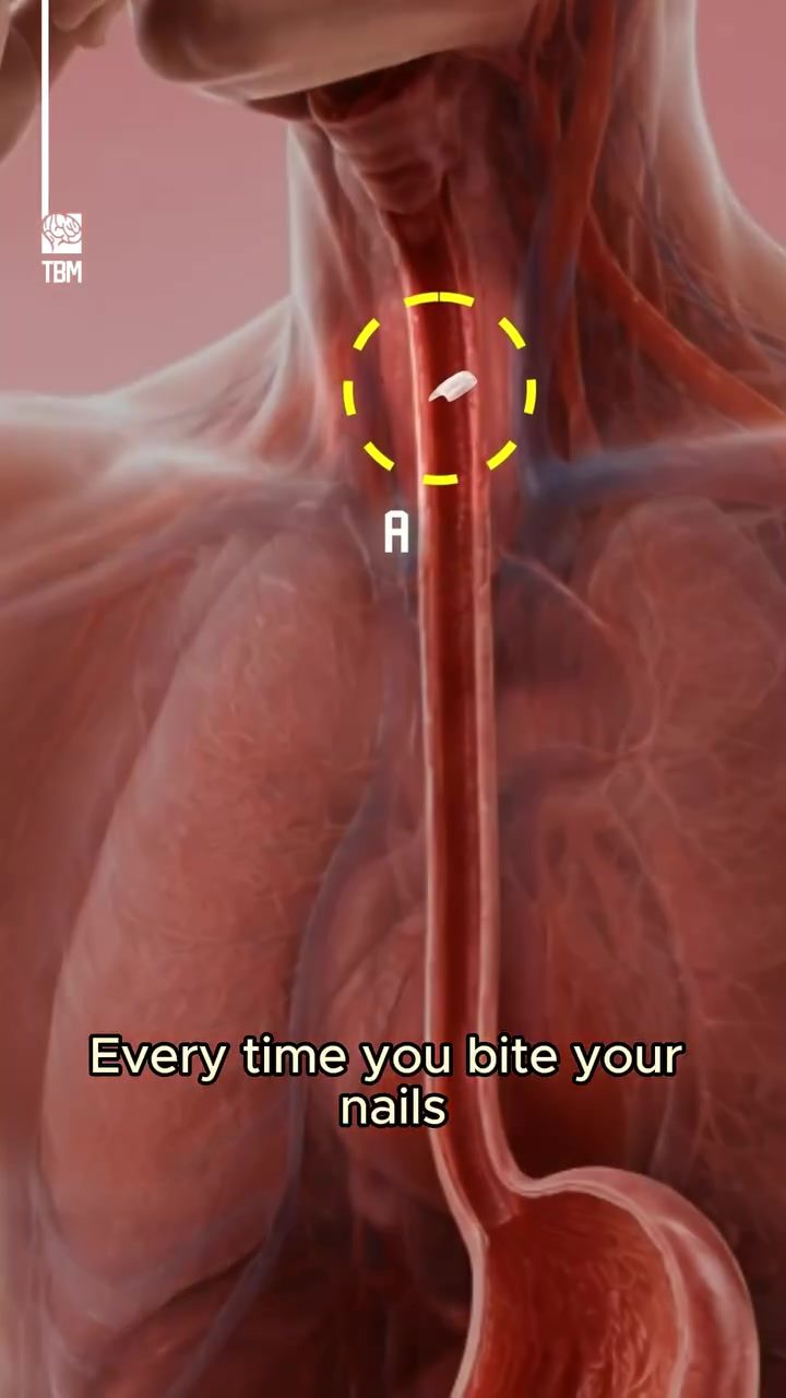 What Happens to Your Body When You Swallow Nail Pieces