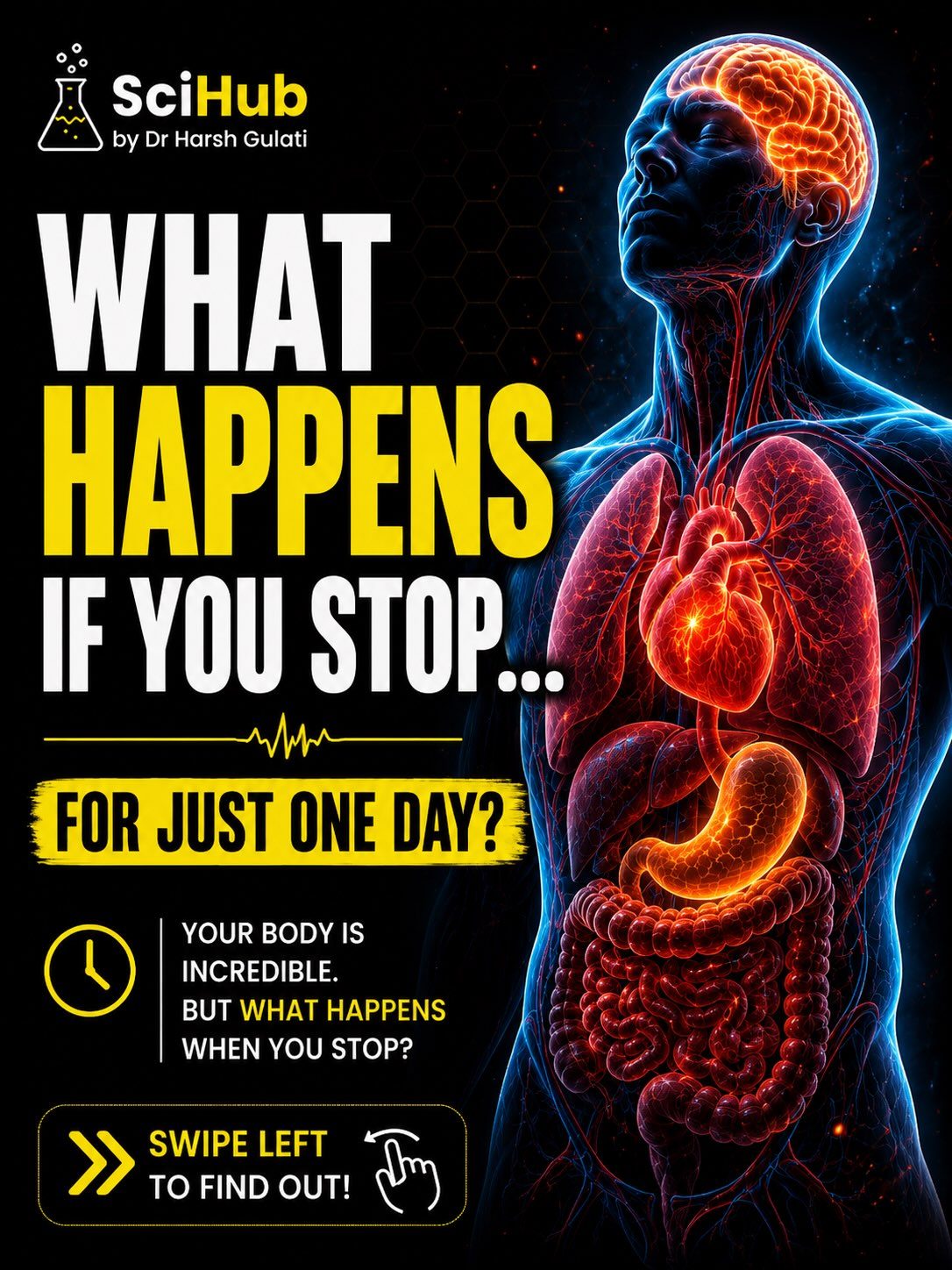 ### Body's Rapid Response: What Happens if You Stop Essential Functions for One Day