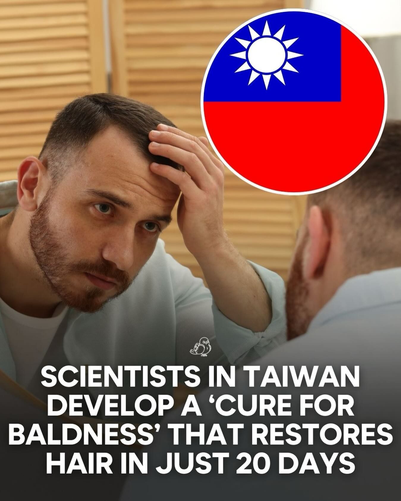 Taiwan's 20-Day Baldness Cure Breakthrough
