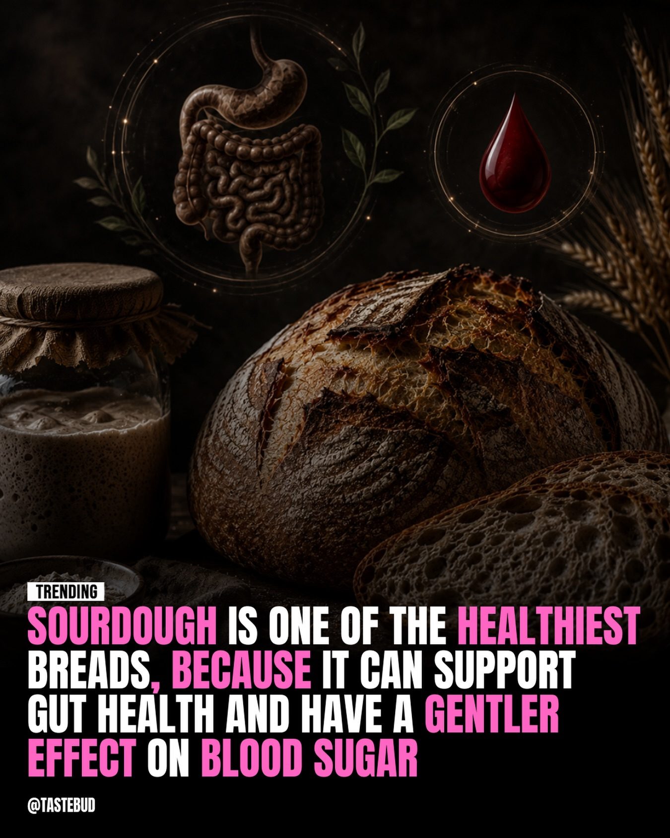 Sourdough Bread: Healthier Choice for Gut and Blood Sugar