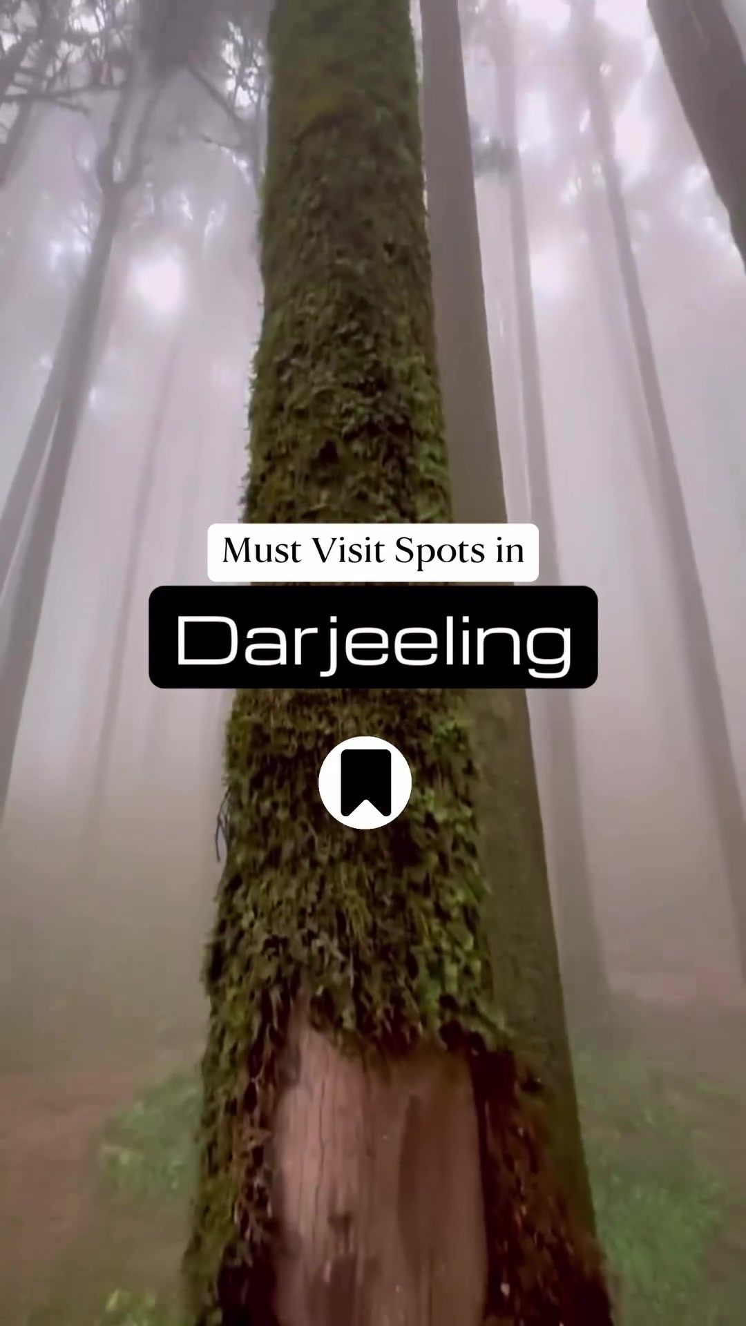 Explore Top Travel Spots in Darjeeling and Nepal