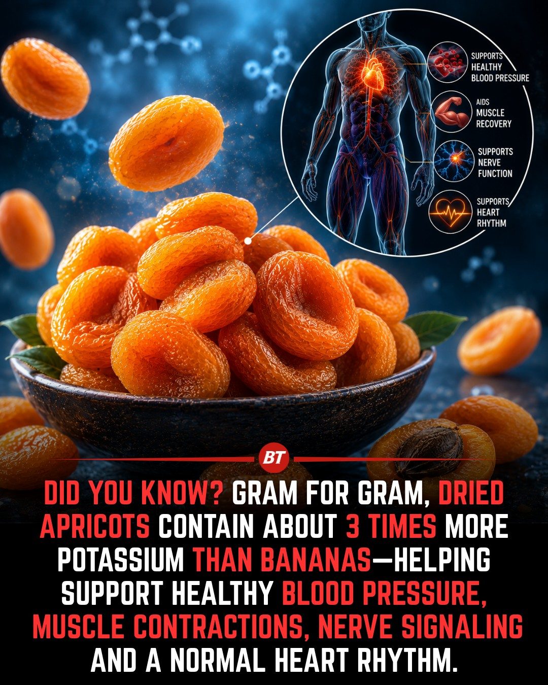 Dried Apricots: Top Source of Potassium for Health