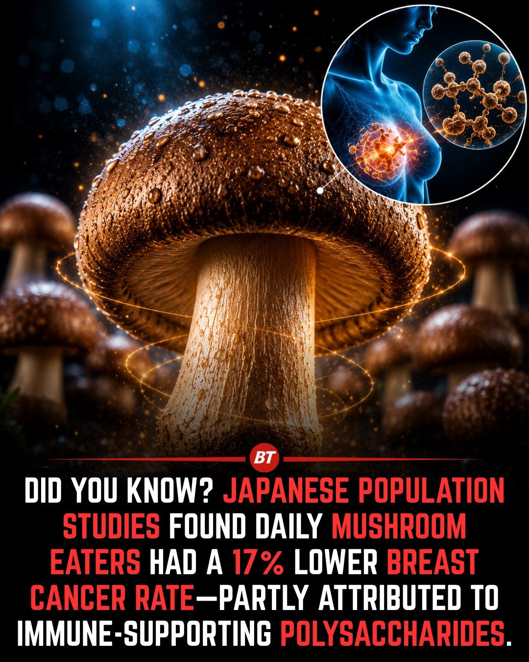 Mushroom Consumption Linked to Lower Breast Cancer Risk
