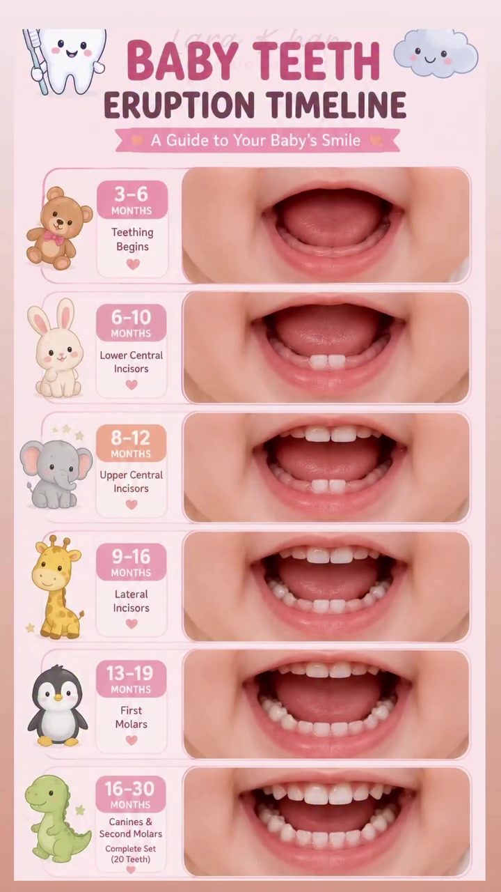 Understanding Baby Teeth Eruption: A Timeline for Parents