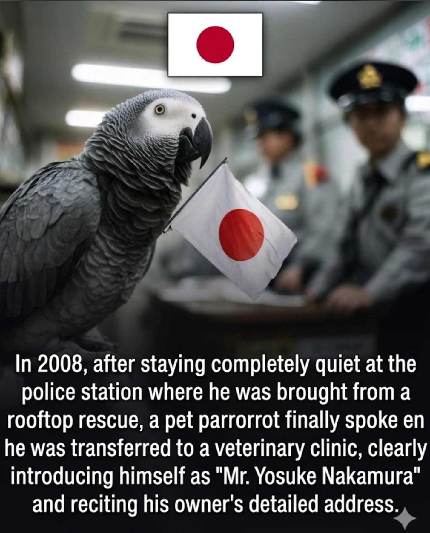 How a Trained Parrot Outsmarted Tokyo Police