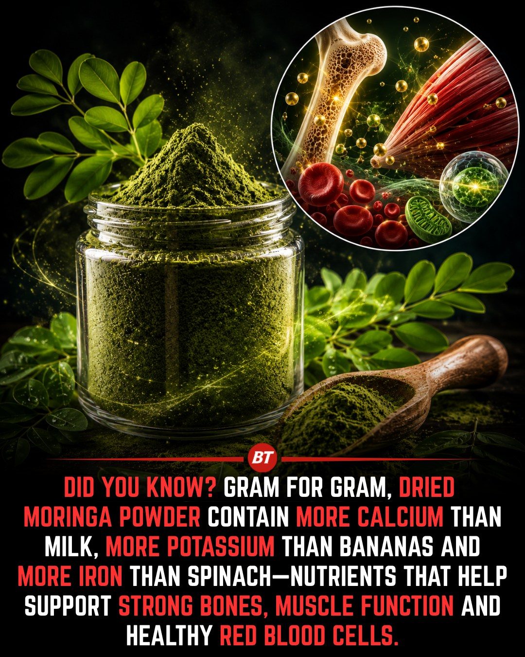 Moringa Powder: Top Health Benefits and Uses