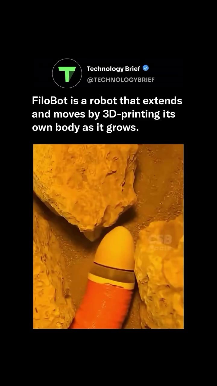 Innovative FileoBot: The Vine-Like Robot That Grows and Moves