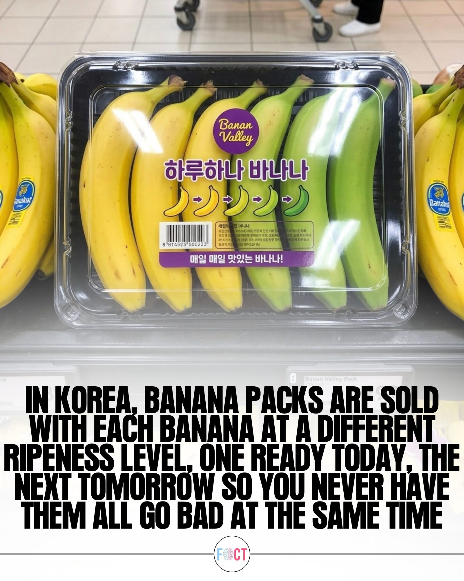 Banana Valley: Revolutionizing Freshness with "One-a-Day" Packs