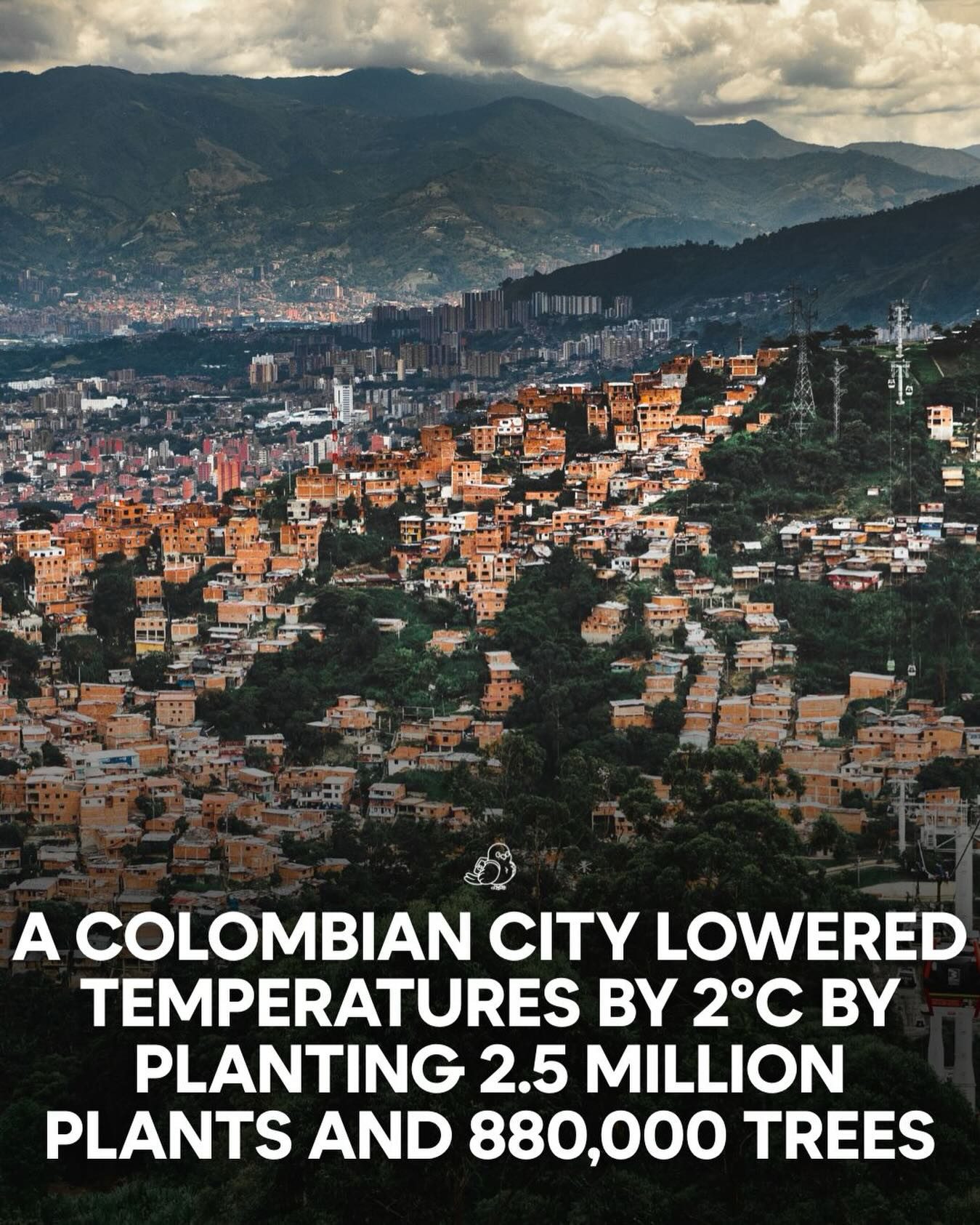 Medellín's Green Revolution: How 2.5 Million Trees Cooled the City