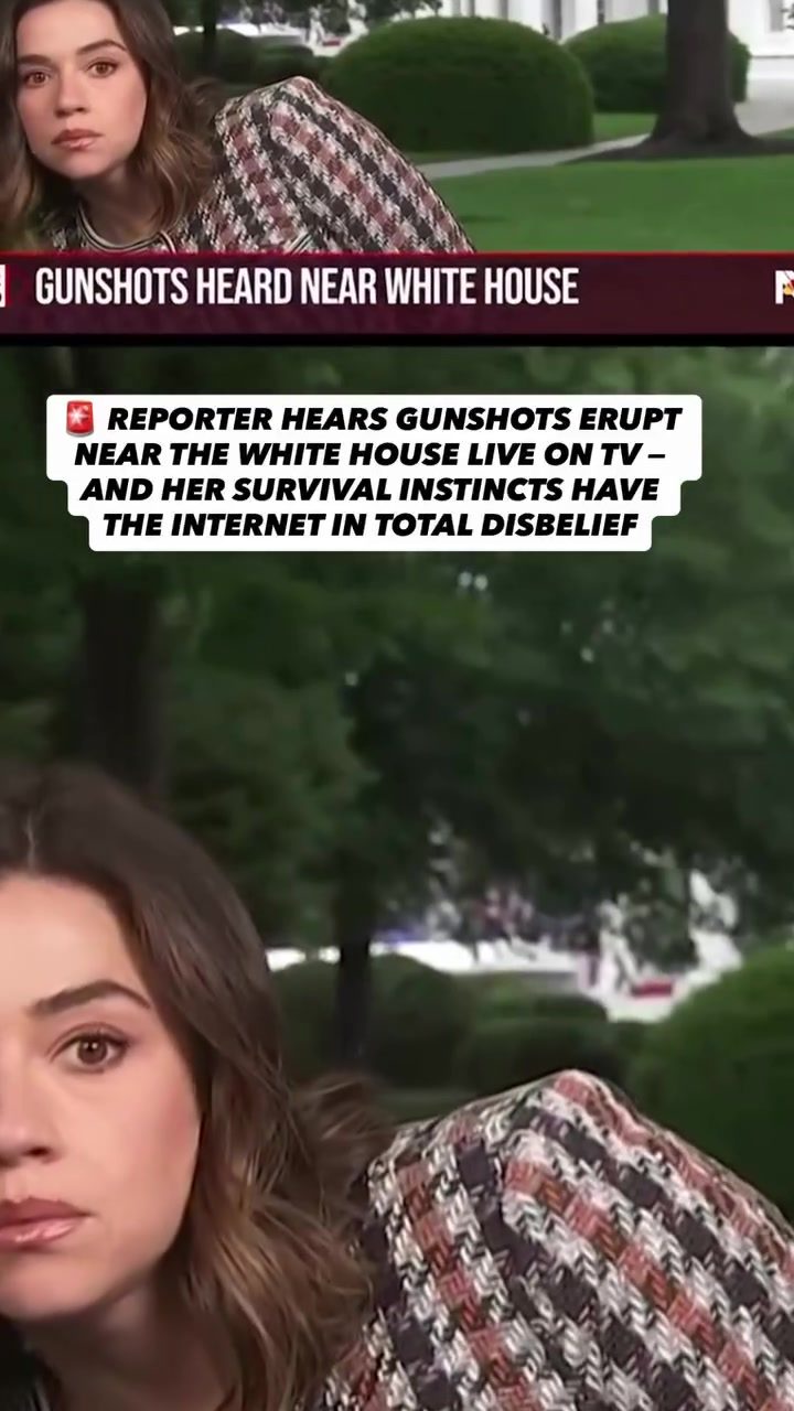 Reporter's Confusion After Hearing Gunshots Near White House Leaves Internet in Disbelief