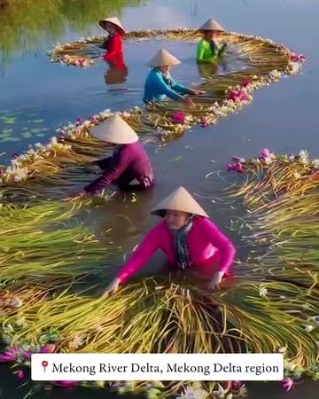**Vietnam's Mekong Delta: Crafting Floral River Art**