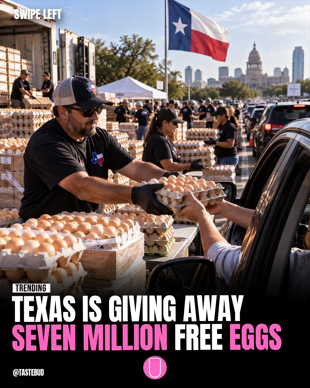 Texas Free Egg Distribution: Seven Million Eggs Given Away